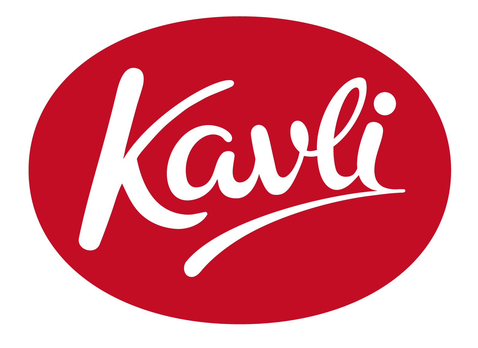 kavli-logo-fake