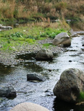 Etter omfattende ombygging av avløpssystemet på Kattem har Søra blitt en av byens beste bekker.