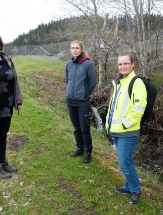 konsulenter ved granåsen