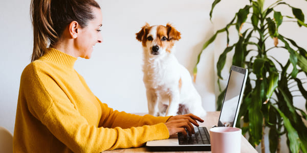 Jente og hund sitter på en datamaskin i sitt eget hjem.