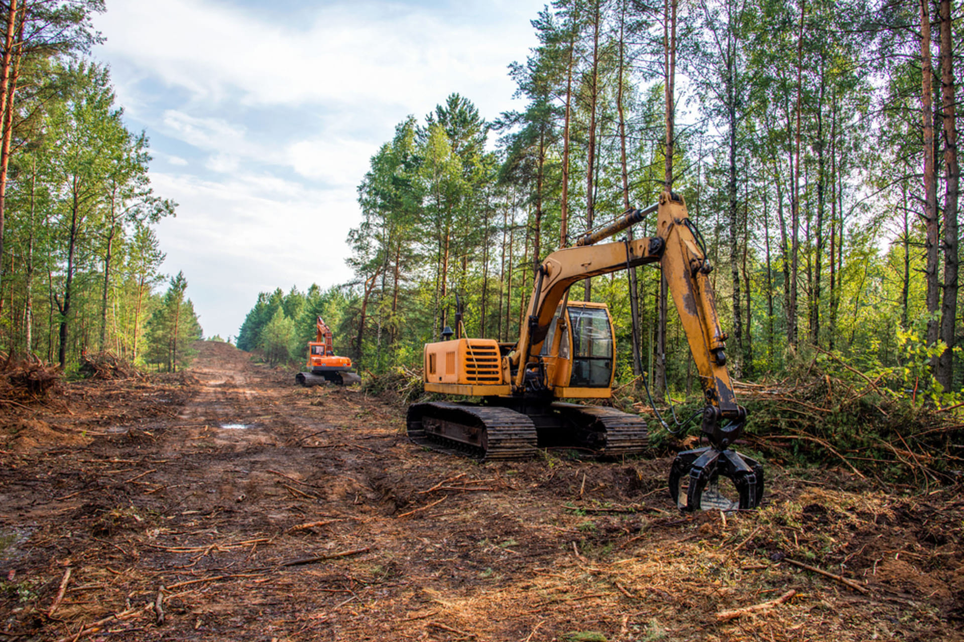 Gravemaskin i skogsholt