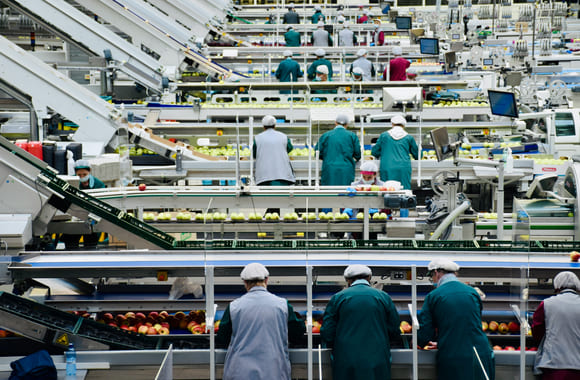 Matproduksjonsfasilitet