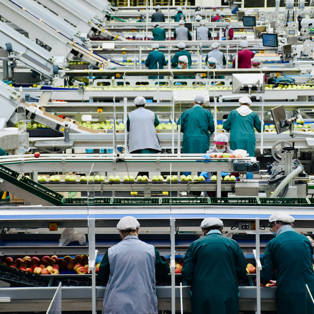 Matproduksjonsfasilitet